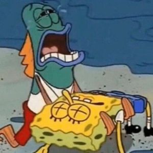 Meet your Posher, Tajmahara